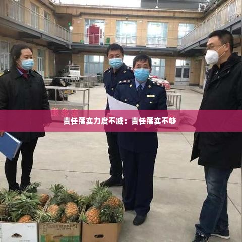 责任落实力度不减:责任落实不够