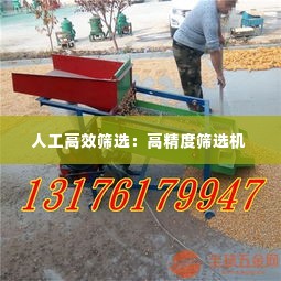 人工高效筛选:高精度筛选机