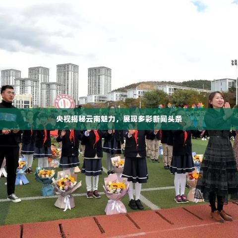 央视揭秘云南魅力,展现多彩新闻头条