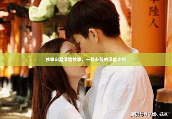 独家宠溺深情故事,一段心醉的深情之旅