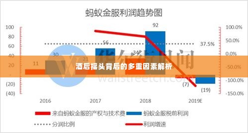 酒后摇头背后的多重因素解析