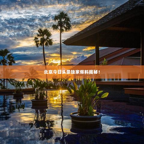 北京今日头条独家爆料揭秘！