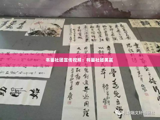 书画社团宣传视频：书画社团美篇 