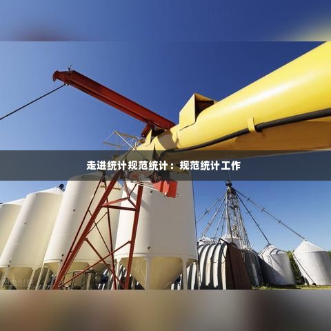 走进统计规范统计：规范统计工作 