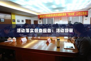 活动落实督查报告:活动督察