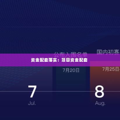 资金配套落实：项目资金配套 