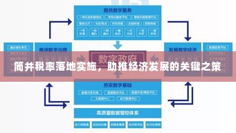 坌鸟先飞 第3页