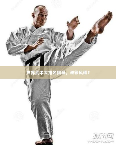 世界武术大排名揭秘，谁领风骚？