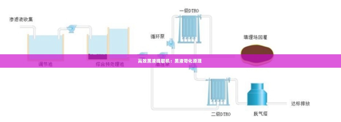 高效黑液提取机:黑液苛化原理