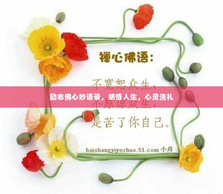 励志佛心妙语录,感悟人生,心灵洗礼