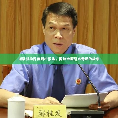 派驻机构深度解析报告,揭秘专题研究背后的故事