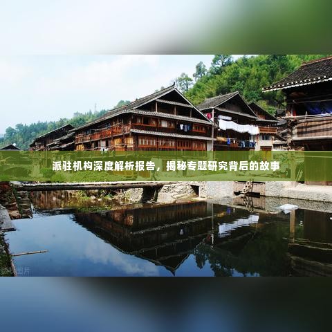 派驻机构深度解析报告,揭秘专题研究背后的故事