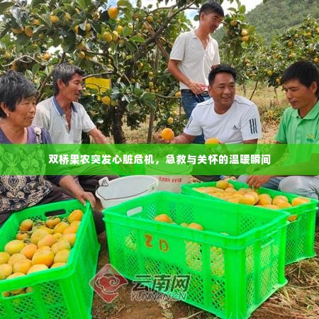 双桥果农突发心脏危机,急救与关怀的温暖瞬间
