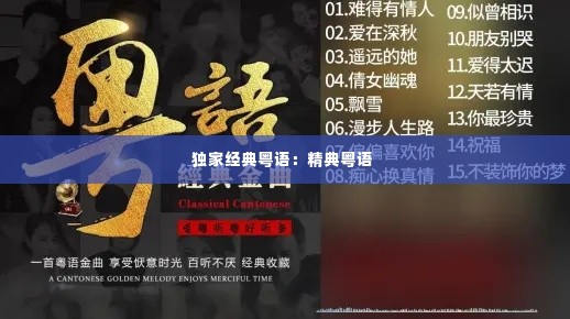独家经典粤语:精典粤语