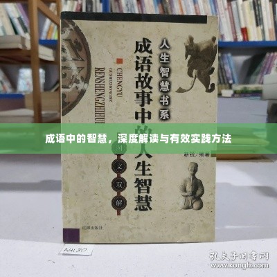 成语中的智慧,深度解读与有效实践方法