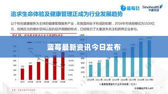 蓝莓最新资讯今日发布