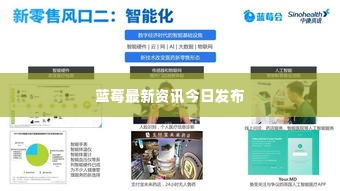 蓝莓最新资讯今日发布