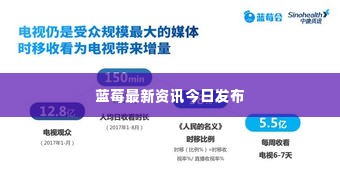 蓝莓最新资讯今日发布