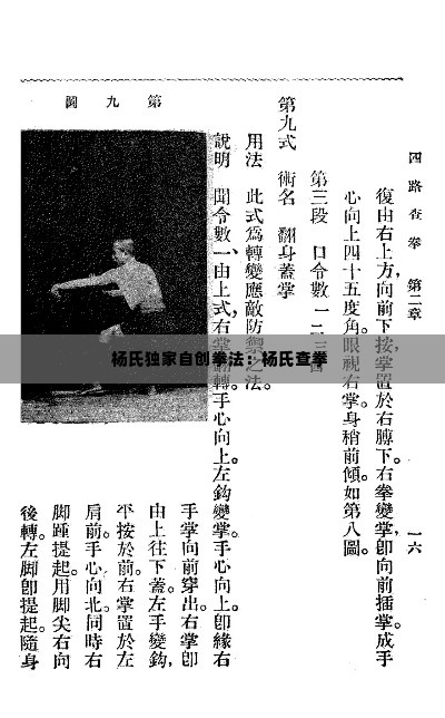 杨氏独家自创拳法:杨氏查拳
