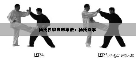 杨氏独家自创拳法：杨氏查拳 
