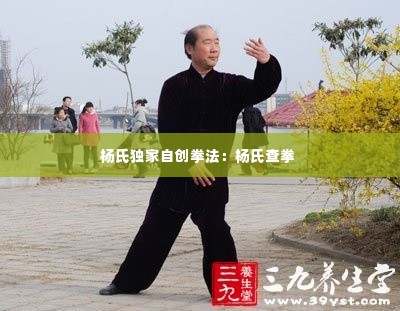 杨氏独家自创拳法:杨氏查拳