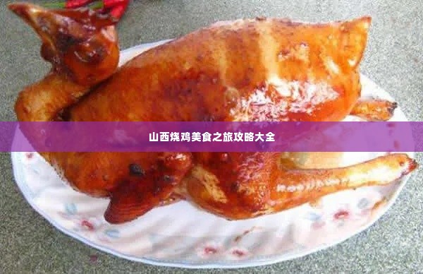 山西烧鸡美食之旅攻略大全
