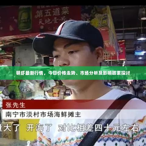 明虾最新行情,今日价格走势、市场分析及影响因素探讨