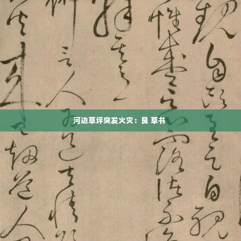 河边草坪突发火灾:艮 草书