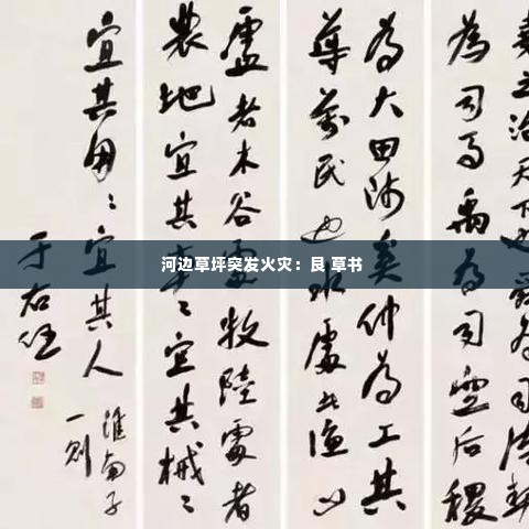 河边草坪突发火灾:艮 草书