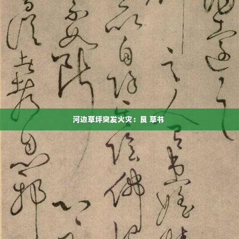 河边草坪突发火灾:艮 草书