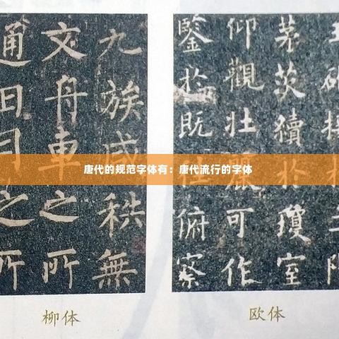 唐代的规范字体有:唐代流行的字体