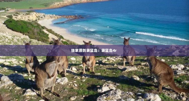 独家原创袋鼠岛：袋鼠岛4r 