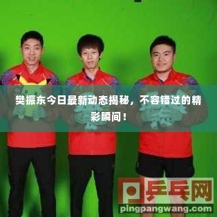 樊振东今日最新动态揭秘，不容错过的精彩瞬间！