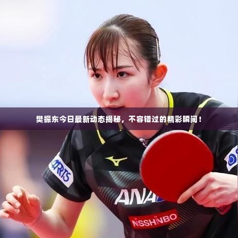樊振东今日最新动态揭秘,不容错过的精彩瞬间!