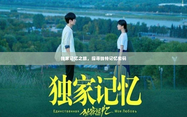 独家记忆之旅，探寻独特记忆密码