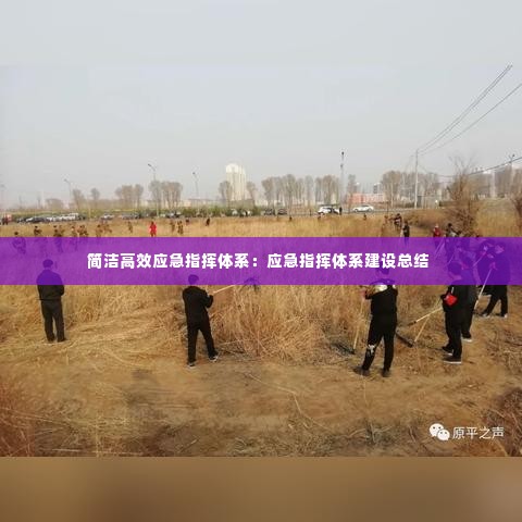 简洁高效应急指挥体系:应急指挥体系建设总结
