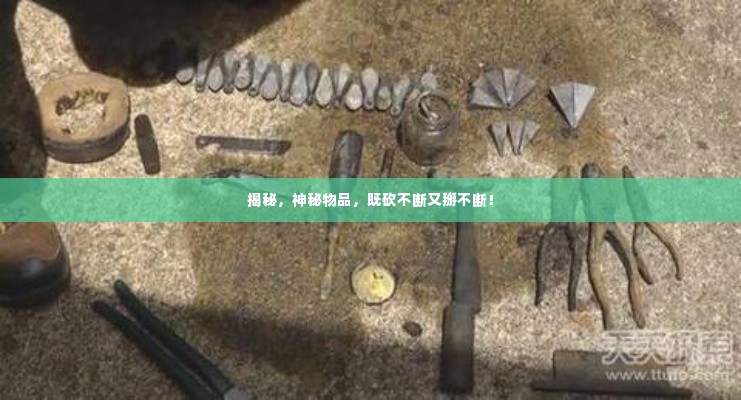 夭桃秾李 第3页