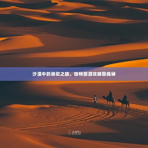 沙漠中的骆驼之旅,独特旅游攻略图揭秘