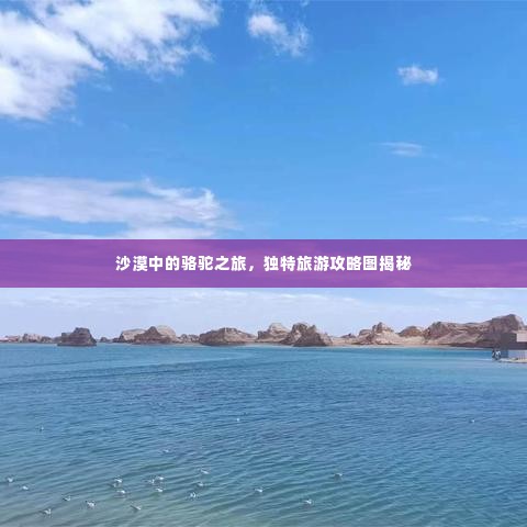 沙漠中的骆驼之旅,独特旅游攻略图揭秘