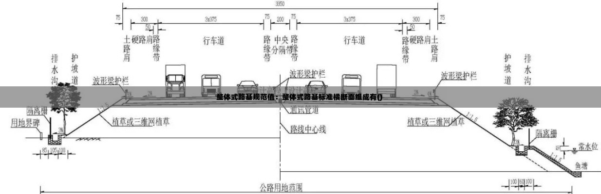 整体式路基规范值:整体式路基标准横断面组成有()