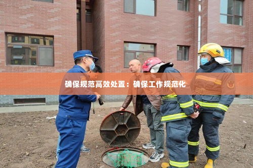 确保规范高效处置:确保工作规范化