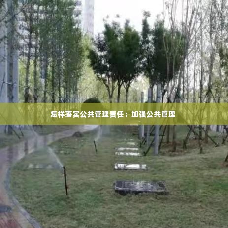 怎样落实公共管理责任:加强公共管理