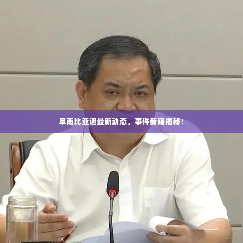阜南比亚迪最新动态，事件新闻揭秘！