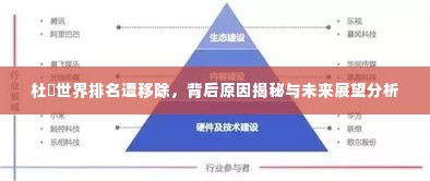 杜玥世界排名遭移除,背后原因揭秘与未来展望分析