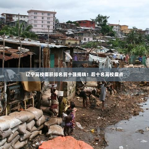 辽宁高校面积排名前十强揭晓！后十名高校盘点