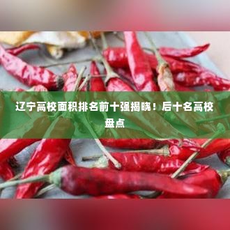 辽宁高校面积排名前十强揭晓!后十名高校盘点