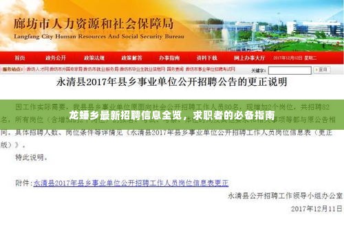 龙蟠乡最新招聘信息全览，求职者的必备指南