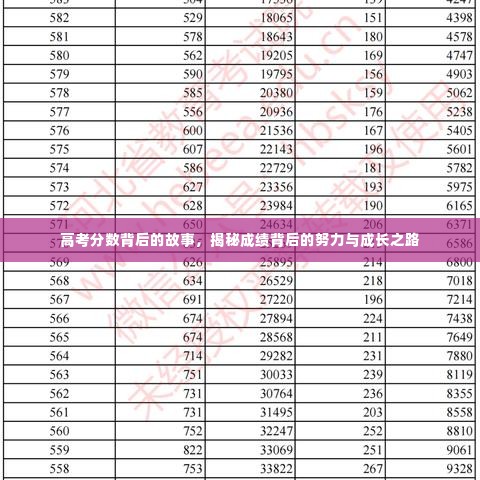 高考分数背后的故事,揭秘成绩背后的努力与成长之路