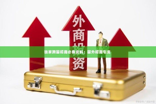 独家跨国招商必备资料:国外招商引资