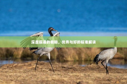 深度报道的精髓,优秀与好的标准解读